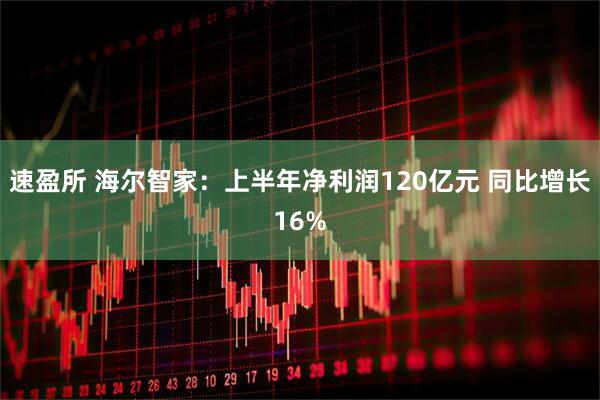 速盈所 海尔智家：上半年净利润120亿元 同比增长16%