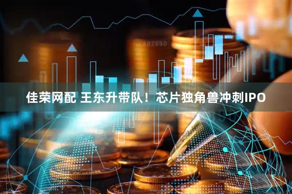 佳荣网配 王东升带队！芯片独角兽冲刺IPO