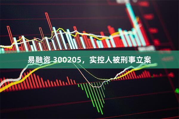 易融资 300205，实控人被刑事立案