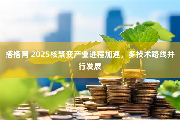 搭搭网 2025核聚变产业进程加速，多技术路线并行发展