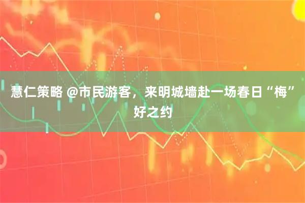 慧仁策略 @市民游客，来明城墙赴一场春日“梅”好之约