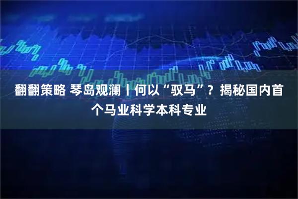 翻翻策略 琴岛观澜丨何以“驭马”？揭秘国内首个马业科学本科专业