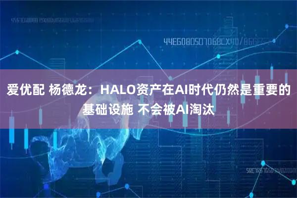 爱优配 杨德龙:HALO资产在AI时代仍然是重要的基础设施 不会被AI淘汰